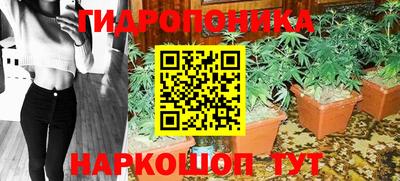 стаф Тверь